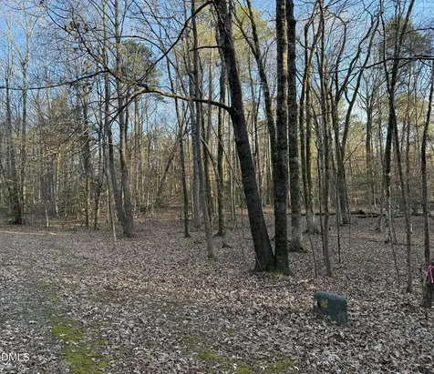 0 Woodland Road Littleton NC 27850