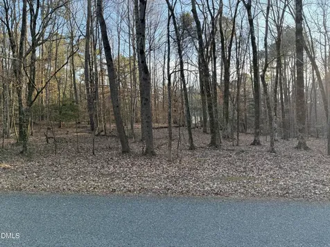 0 Woodland Road Littleton NC 27850