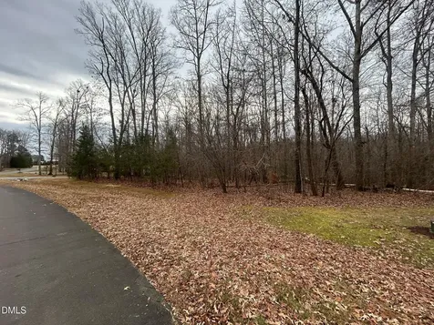 0 Weaver Ridge Road Rougemont NC 27572