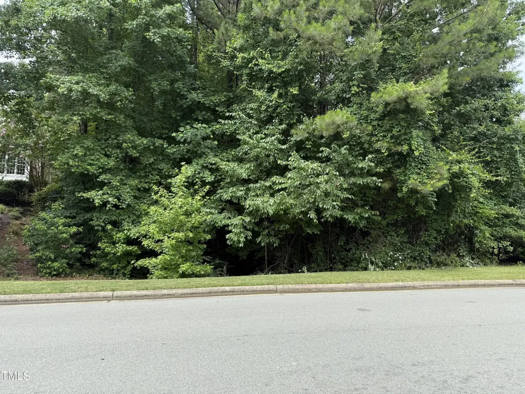 533 Bear Tree Creek Chapel Hill NC 27517