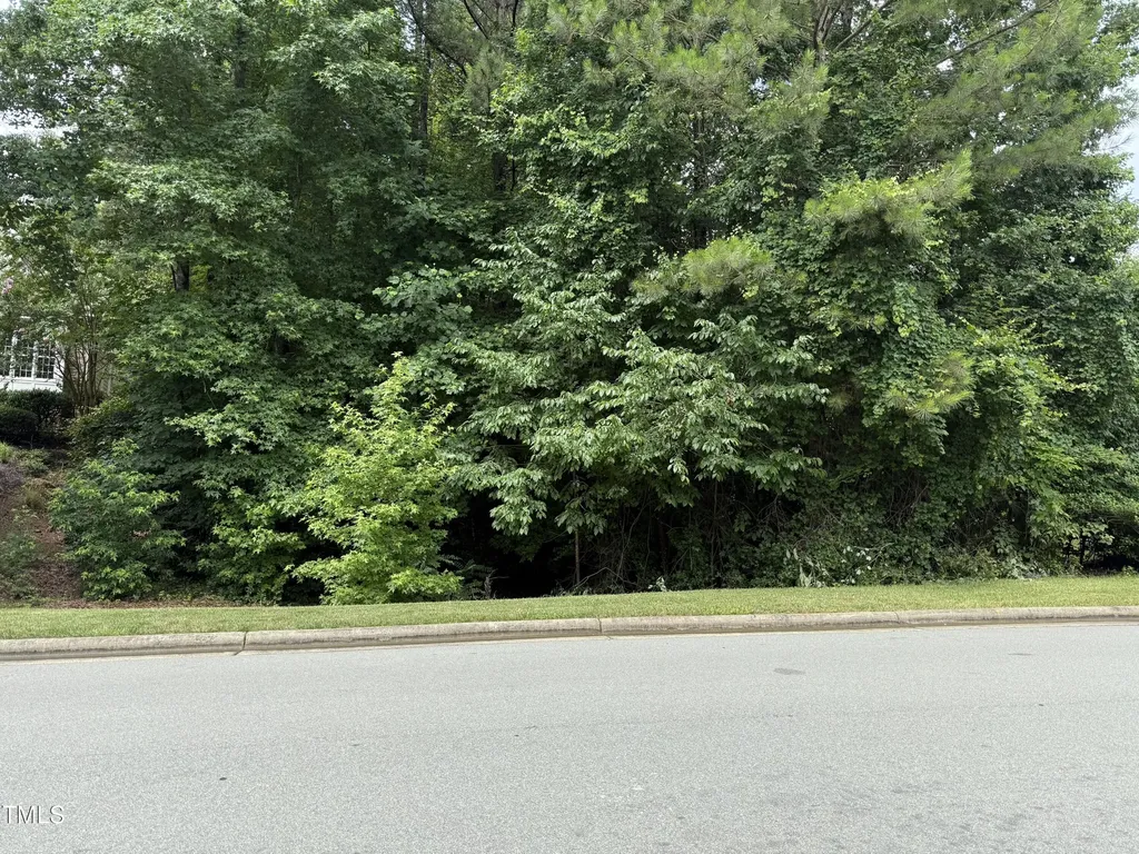 533 Bear Tree Creek Chapel Hill NC 27517