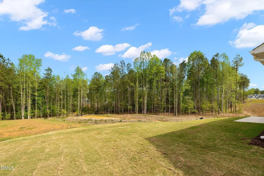 74 S Blue Sly Trail Selma NC 27576