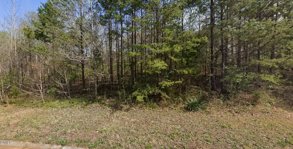 7411 Birchbend Lane Lewisville NC 27023