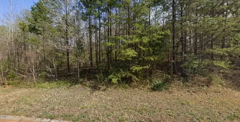 7411 Birchbend Lane Lewisville NC 27023