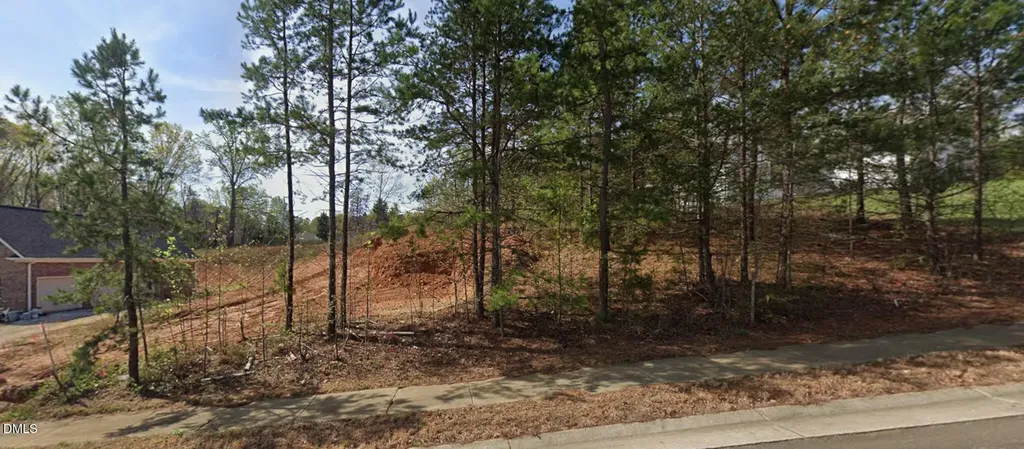 7442 Birchbend Lane Lewisville NC 27023