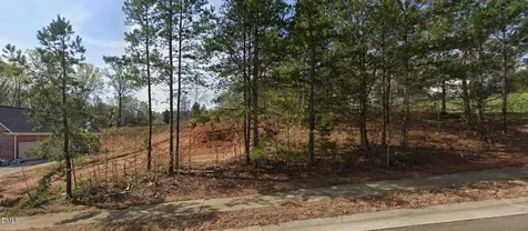 7442 Birchbend Lane Lewisville NC 27023