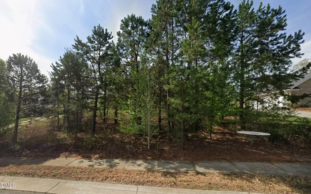 7474 Birchbend Drive Lewisville NC 27023
