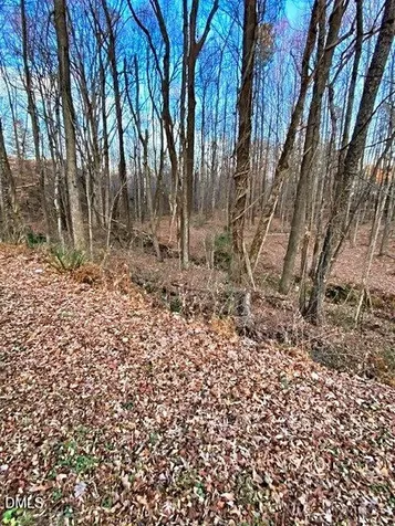 00 Gravitte Road Roxboro NC 27573