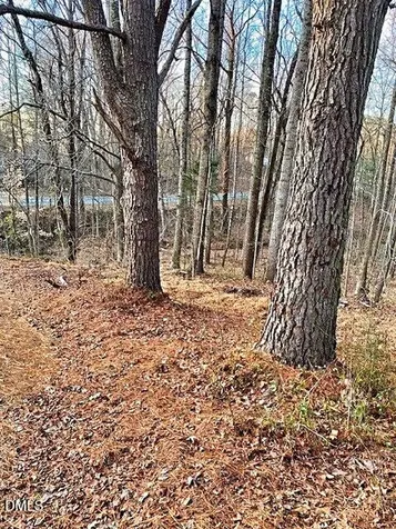 00 Gravitte Road Roxboro NC 27573