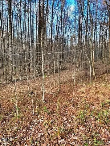 00 Gravitte Road Roxboro NC 27573