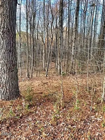 00 Gravitte Road Roxboro NC 27573