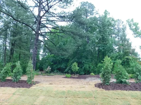 705 Ahad Court Apex NC 27523