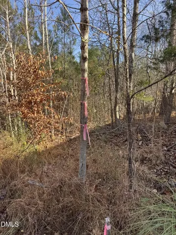 00 Matthews Drive Henderson NC 27537