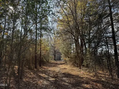 Lot 1 Wolf Tree Way Efland NC 27243