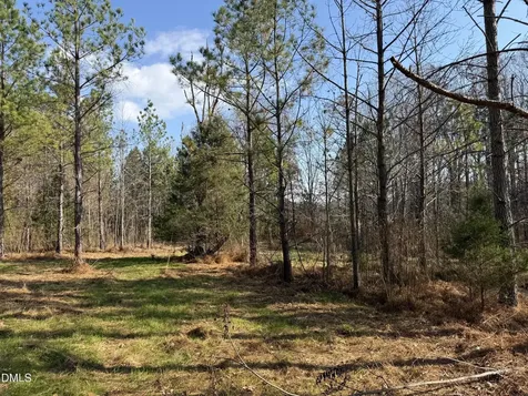 Lot 1 Wolf Tree Way Efland NC 27243