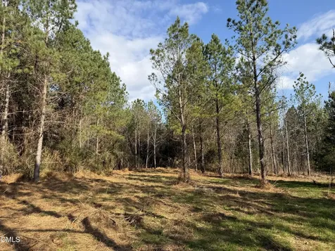 Lot 1 Wolf Tree Way Efland NC 27243