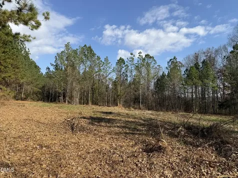 Lot 1 Wolf Tree Way Efland NC 27243