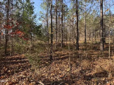 Lot 1 Wolf Tree Way Efland NC 27243