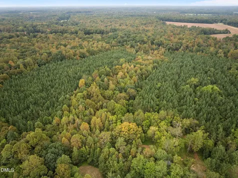 Lot E Wolf Tree Way Efland NC 27243