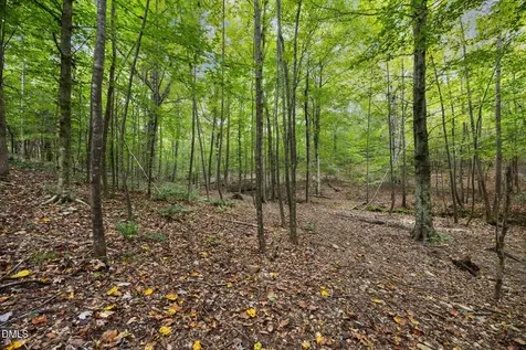 Lot E Wolf Tree Way Efland NC 27243