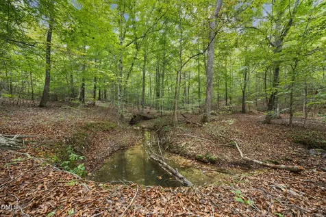 Lot E Wolf Tree Way Efland NC 27243