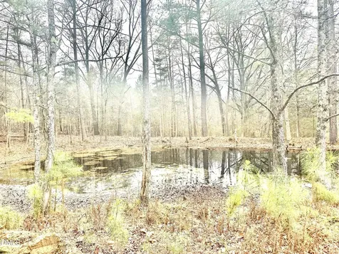 8245 Old Switchboard Road Snow Camp NC 27349