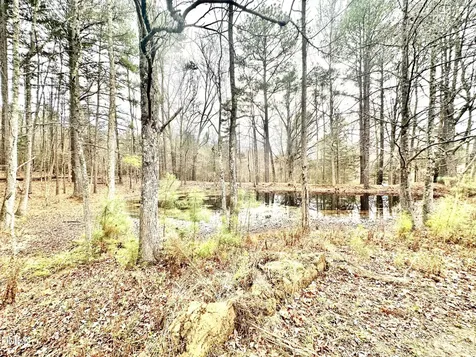 8245 Old Switchboard Road Snow Camp NC 27349