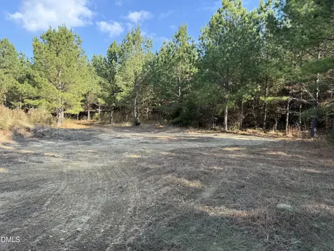 Lot 3 Wolf Tree Way Efland NC 27243