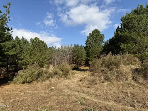 Lot 3 Wolf Tree Way Efland NC 27243