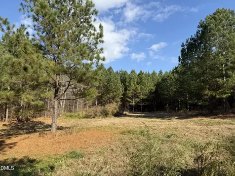Lot 3 Wolf Tree Way Efland NC 27243