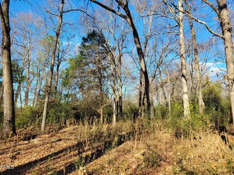 0 Old Us 421 Highway S Siler City NC 27344