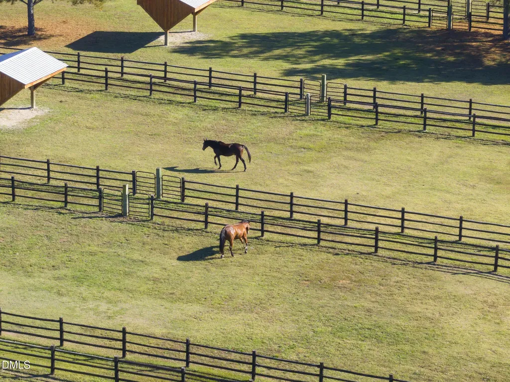 90 Paraggi Court Clayton NC 27527