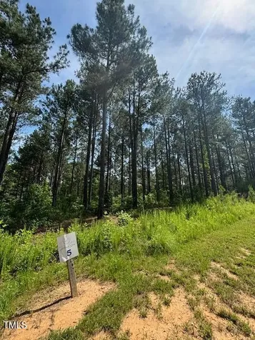 5 Pinnacle Shores Drive Macon NC 27551
