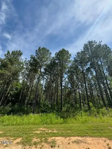 5 Pinnacle Shores Drive Macon NC 27551