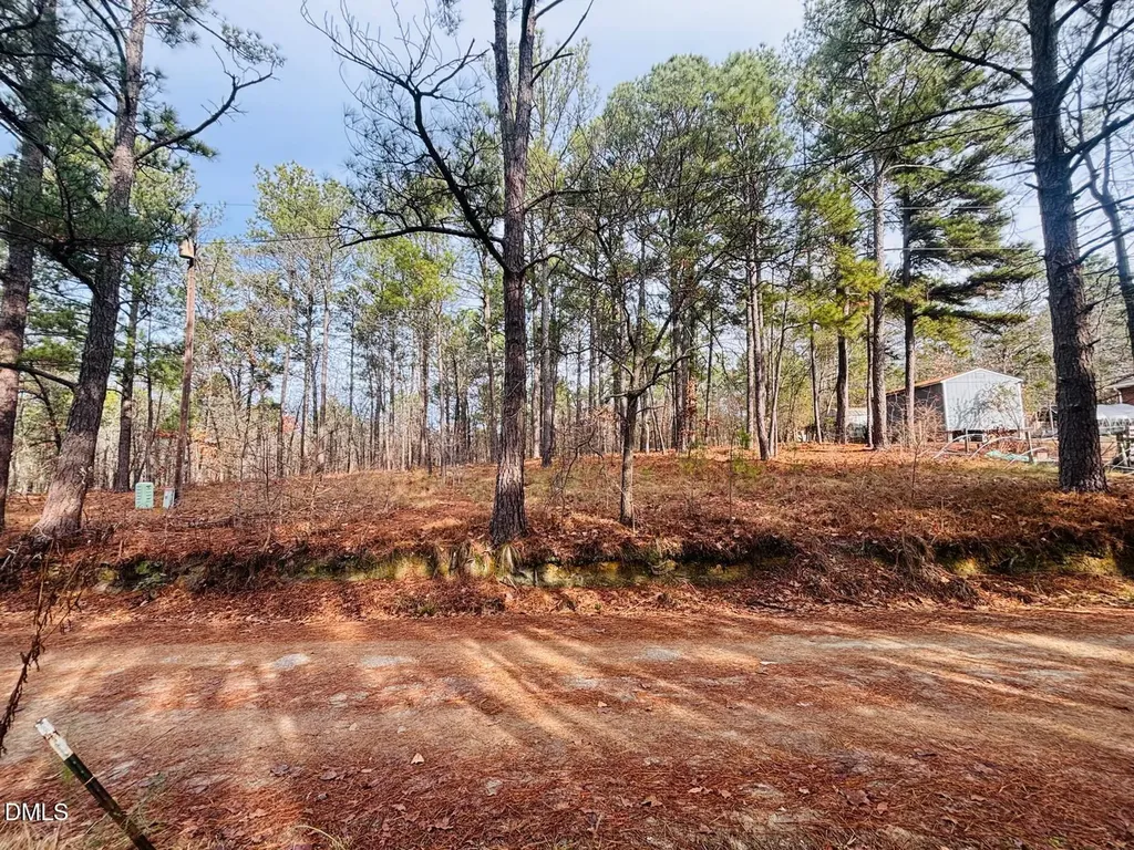 0 Mye Lane Cameron NC 28326