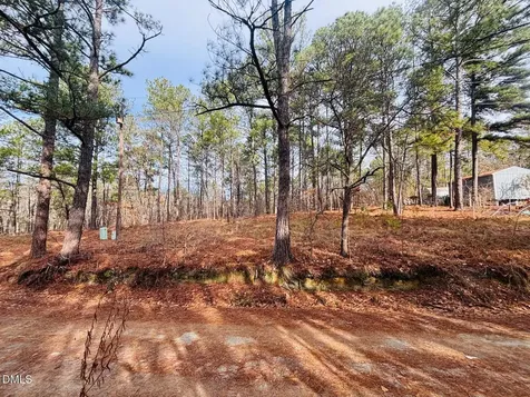 0 Mye Lane Cameron NC 28326