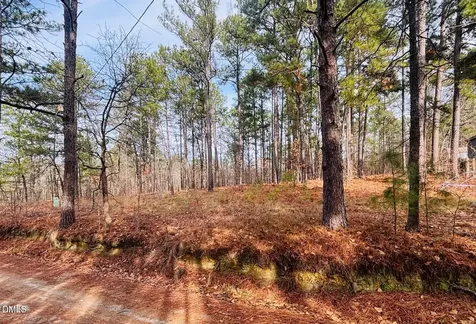 0 Mye Lane Cameron NC 28326