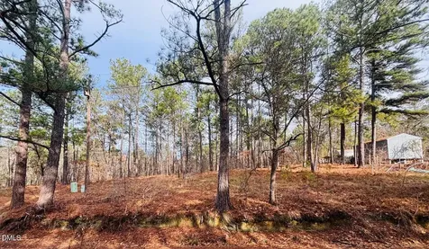 0 Mye Lane Cameron NC 28326