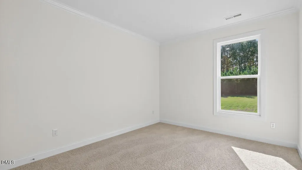 45 East Fire Opal Court Clayton NC 27520