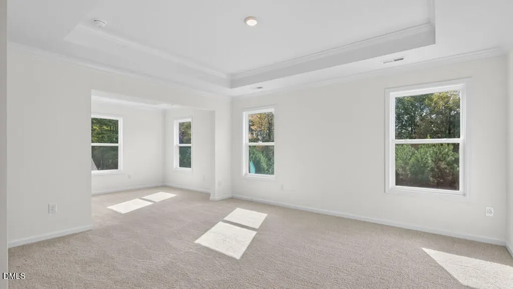 45 East Fire Opal Court Clayton NC 27520
