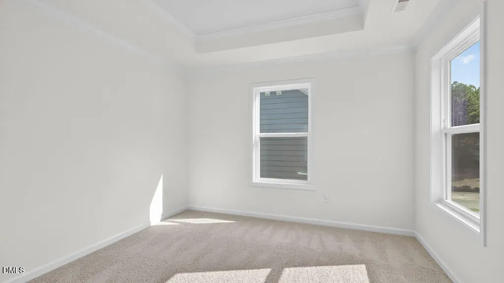 45 East Fire Opal Court Clayton NC 27520