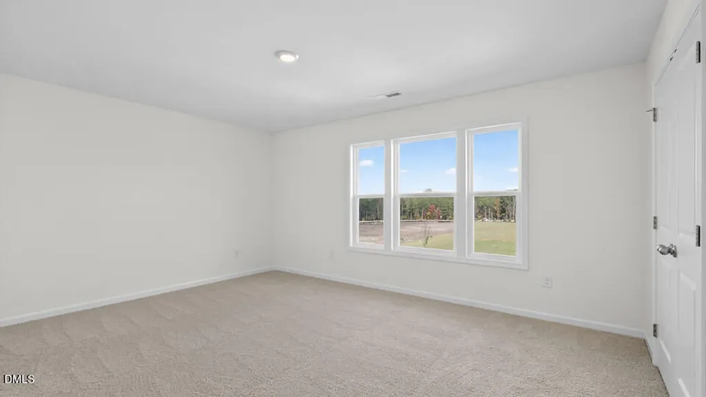 45 East Fire Opal Court Clayton NC 27520