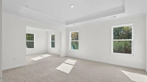 45 East Fire Opal Court Clayton NC 27520