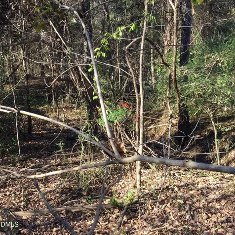 000 Gant Road Graham NC 27253