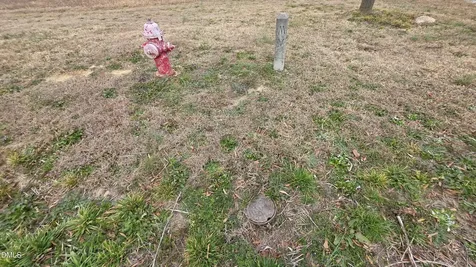 3511 Nc 231 Wendell NC 27591