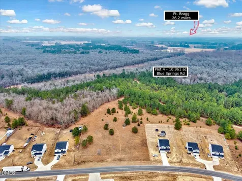 Lot 4 Blue Springs Road Red Springs NC 28377