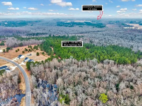 Lot 4 Blue Springs Road Red Springs NC 28377