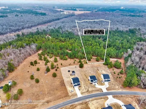 Lot 5 Blue Springs Road Red Springs NC 28377