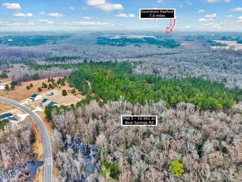 Lot 5 Blue Springs Road Red Springs NC 28377