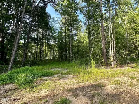 285 Old Eason Road Zebulon NC 27597